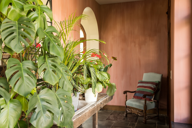 renovatie cottage Halle